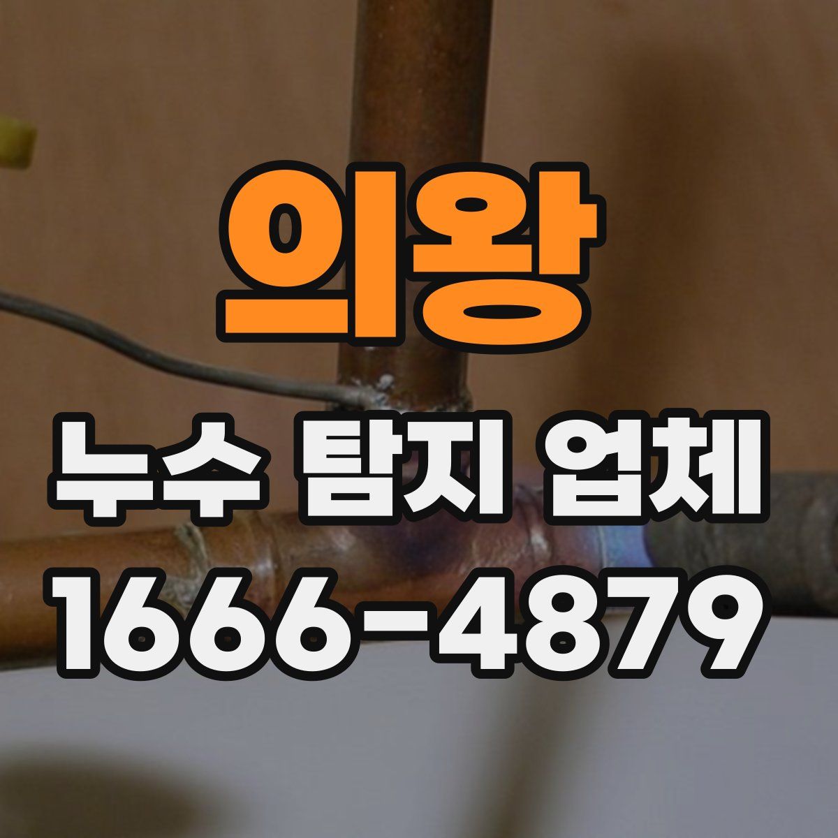 의왕 누수 탐지 업체