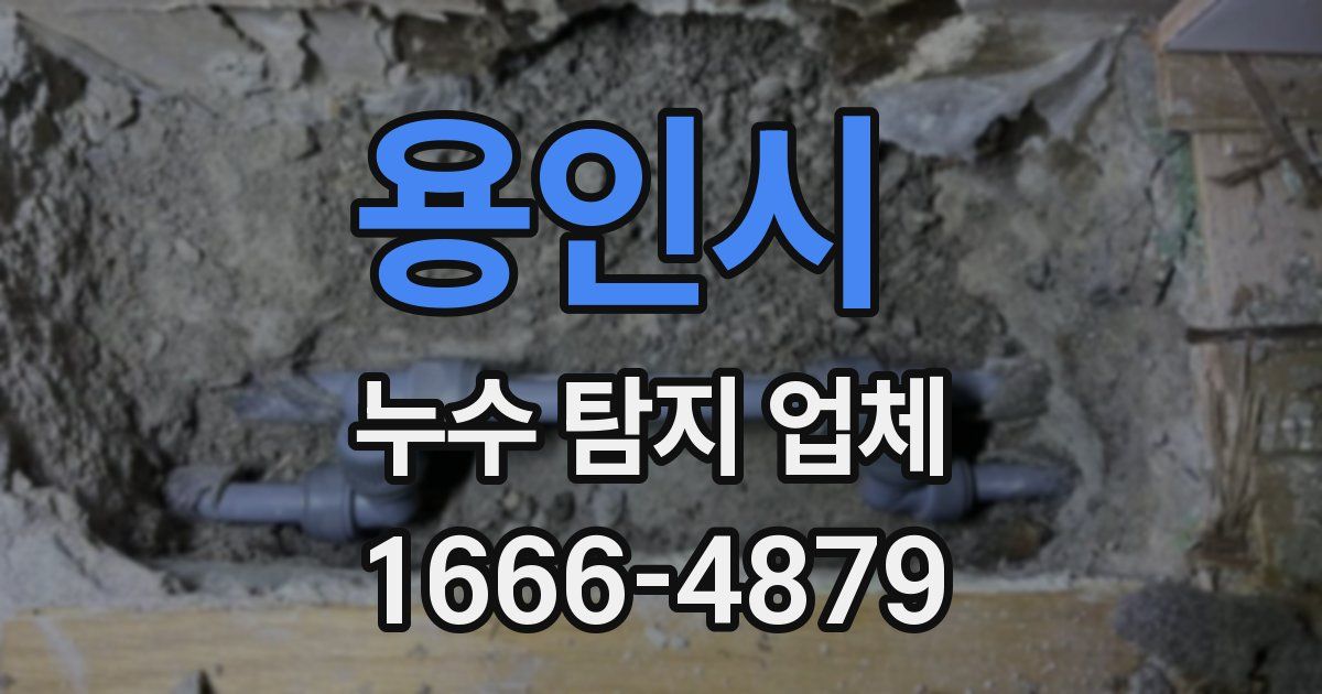 용인시 누수 탐지 업체