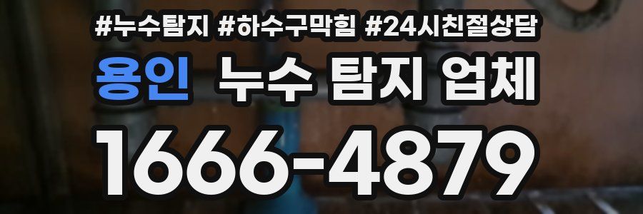 용인 누수 탐지 업체