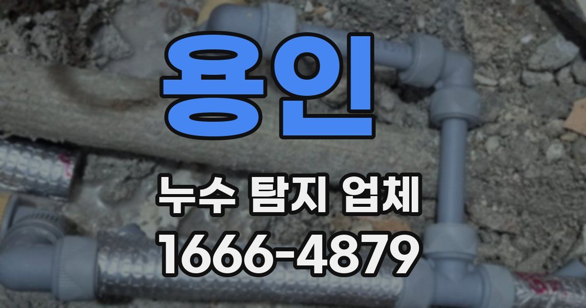 용인 누수 탐지 업체
