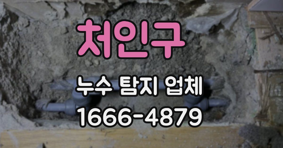 처인구 누수 탐지 업체