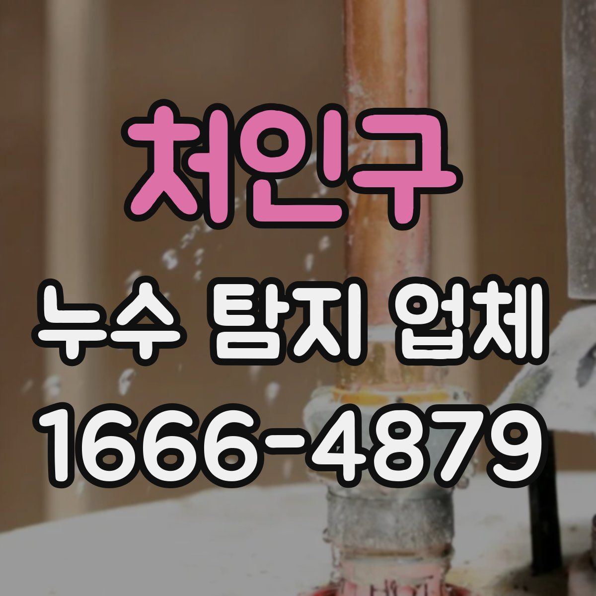 처인구 누수 탐지 업체