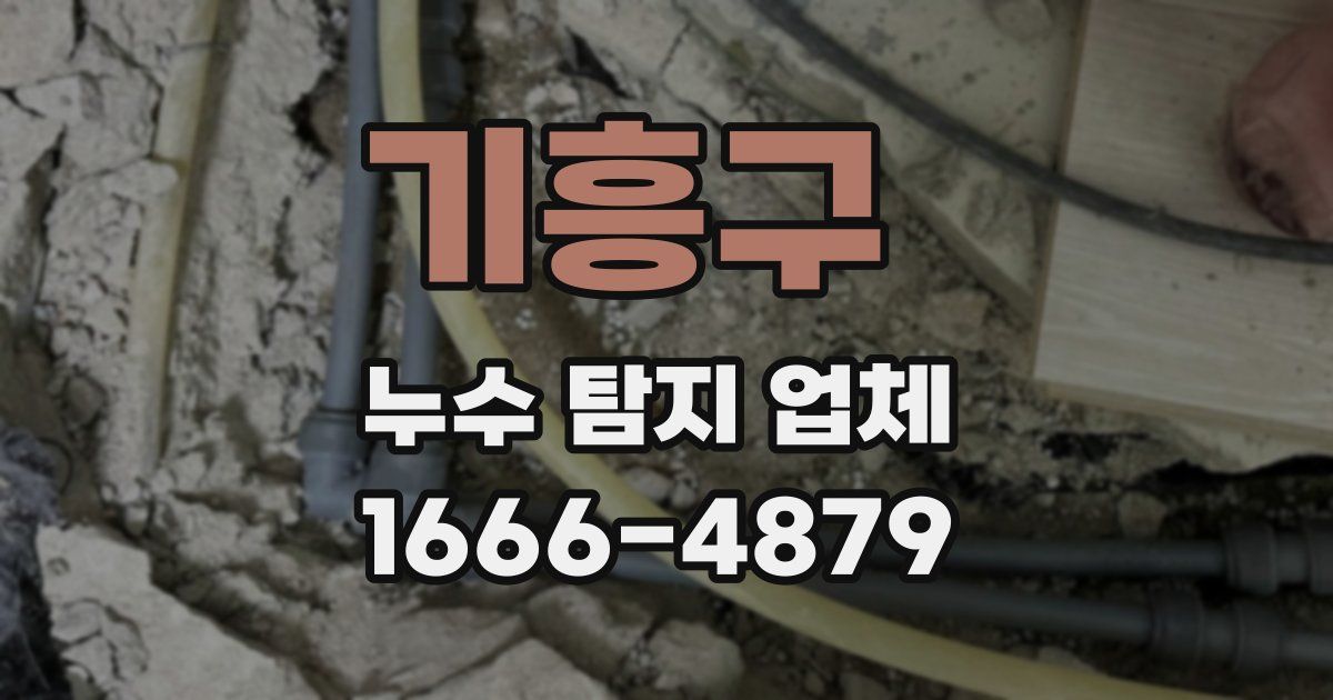 기흥구 누수 탐지 업체