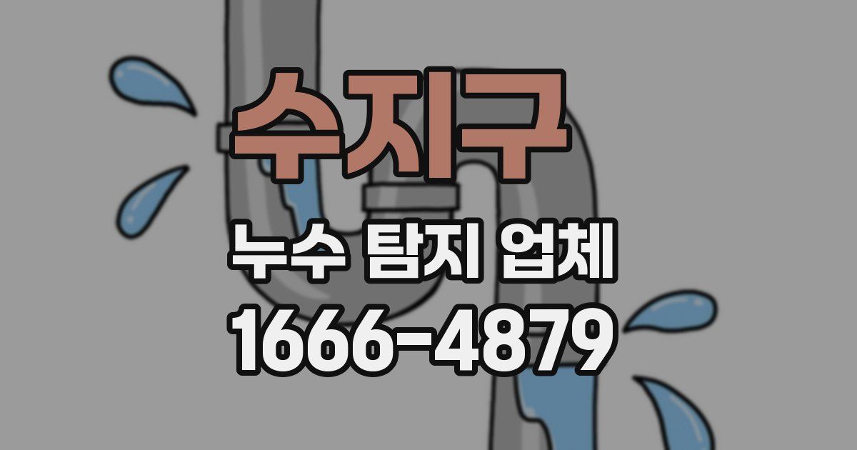 수지구 누수 탐지 업체