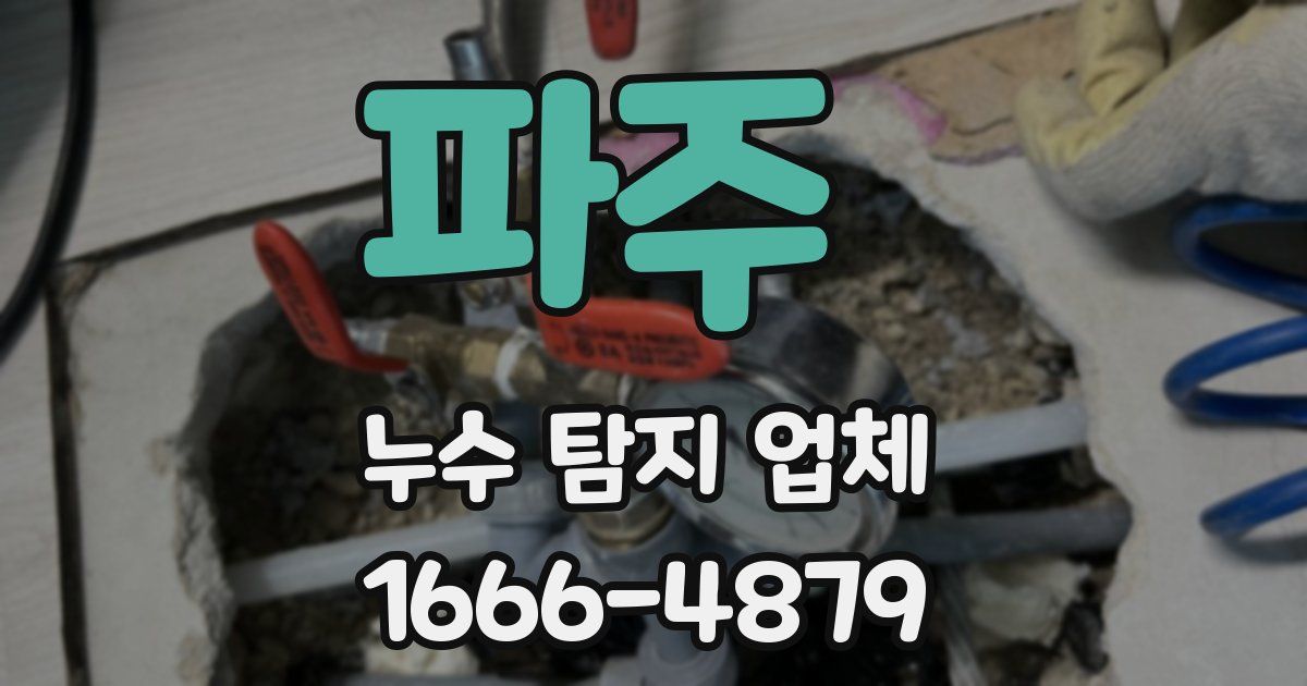 파주 누수 탐지 업체