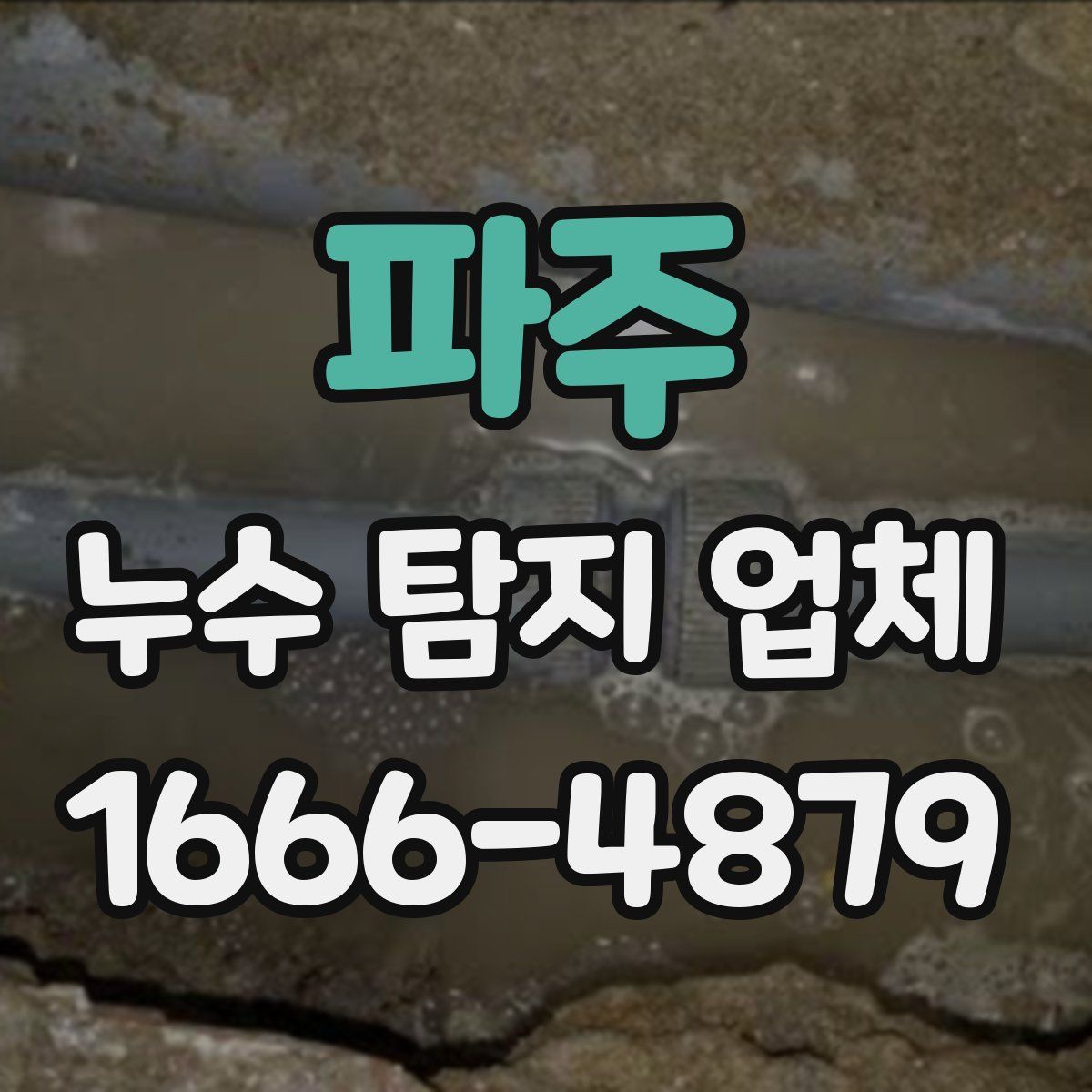 파주 누수 탐지 업체