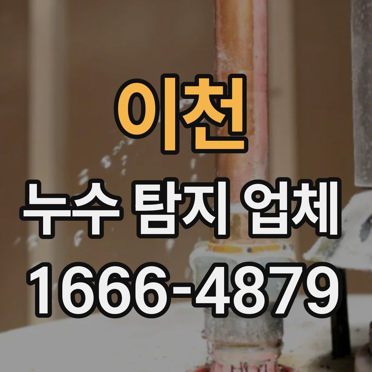 이천 누수 탐지 업체
