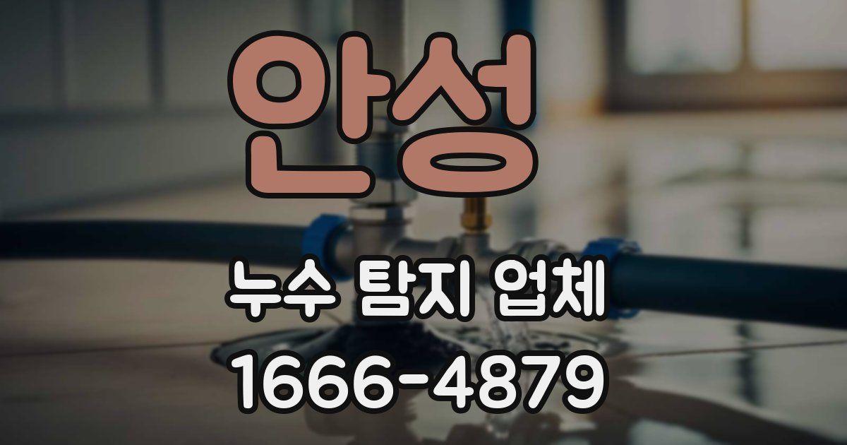 안성 누수 탐지 업체