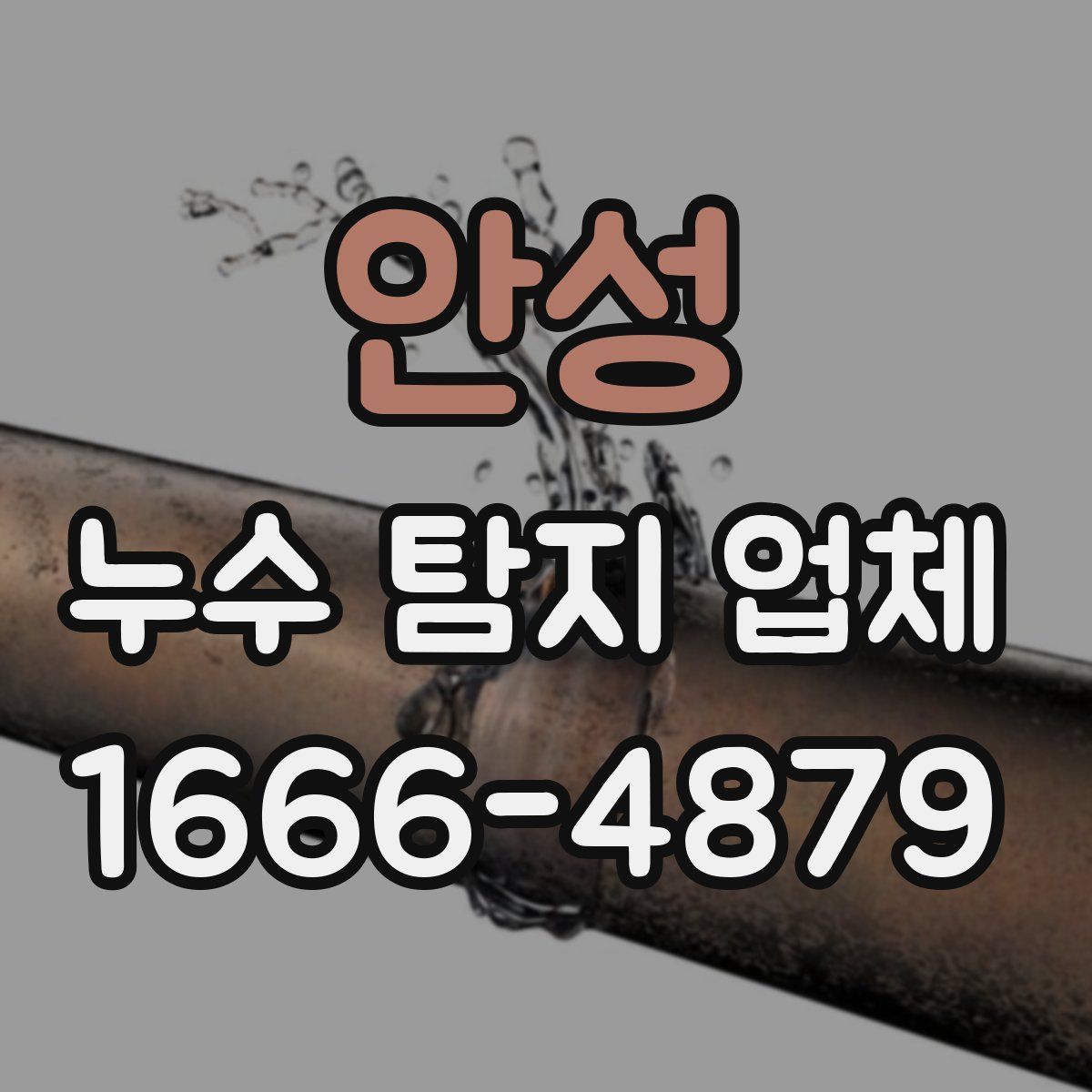 안성 누수 탐지 업체