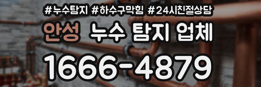 안성 누수 탐지 업체