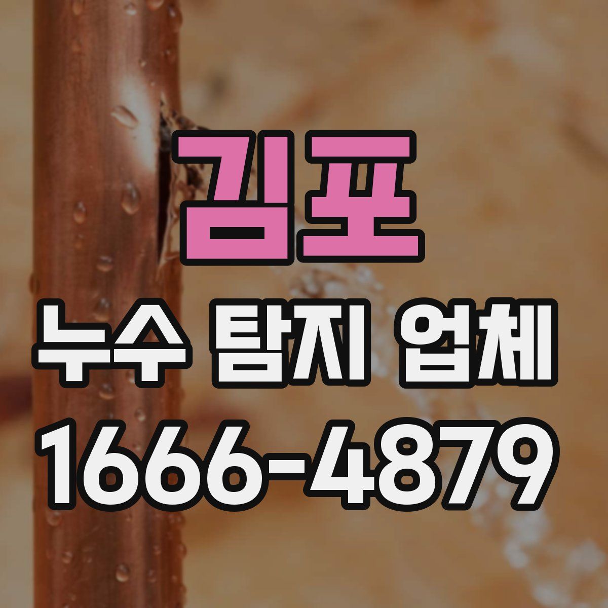 김포 누수 탐지 업체