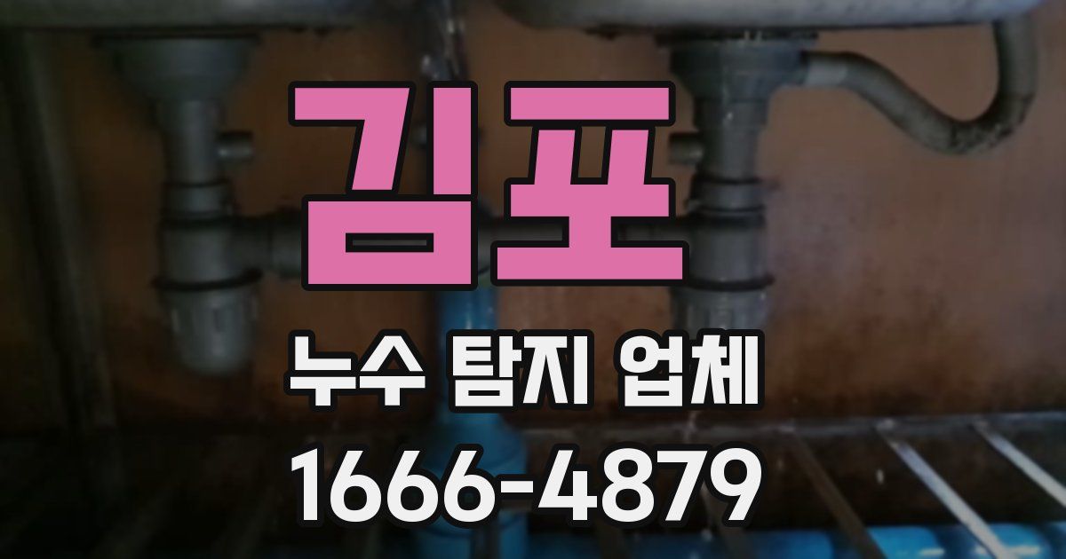 김포 누수 탐지 업체