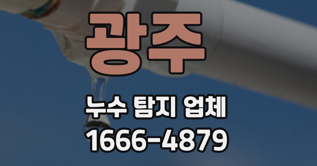 광주 누수 탐지 업체