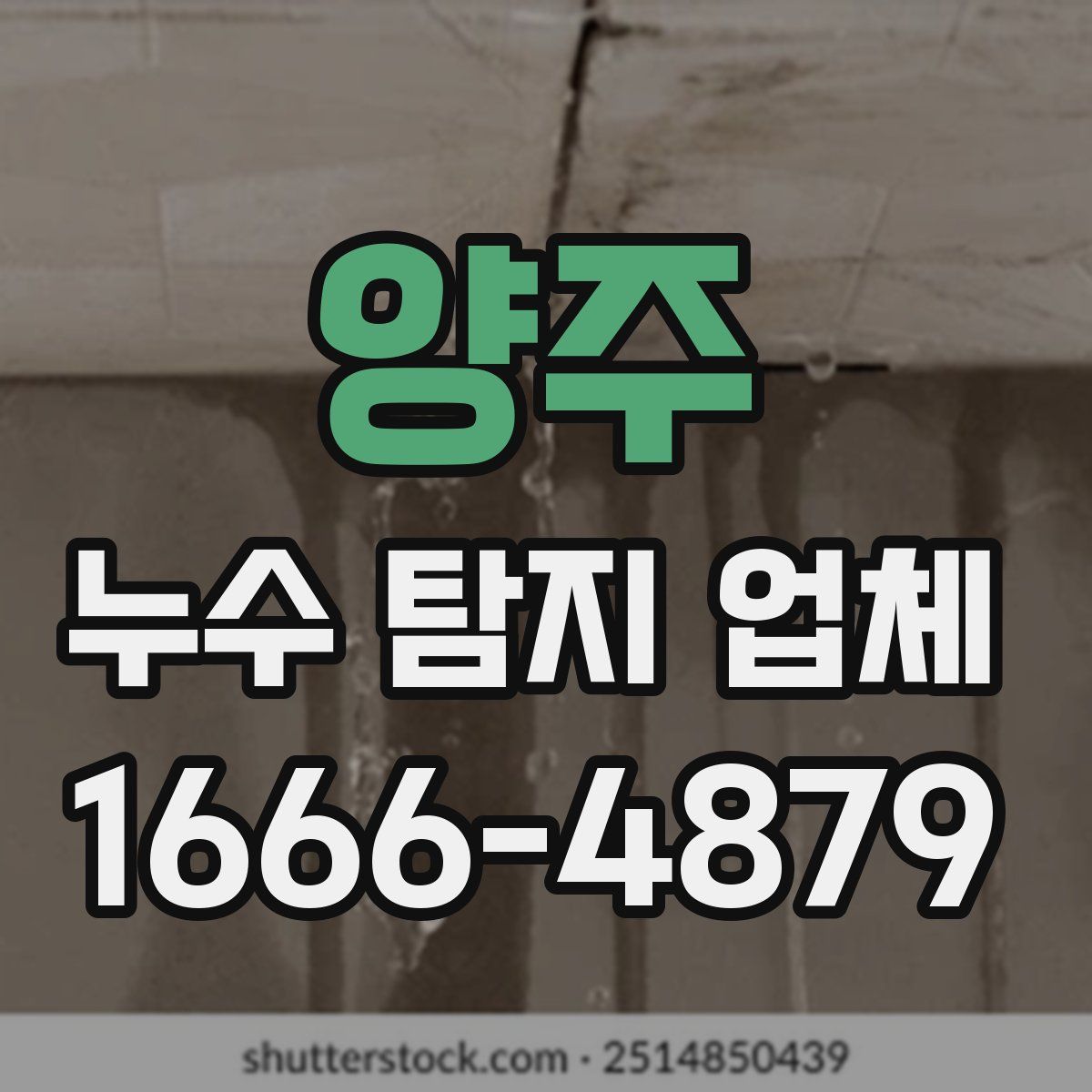 양주 누수 탐지 업체