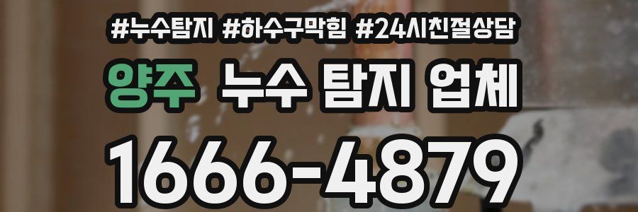 양주 누수 탐지 업체