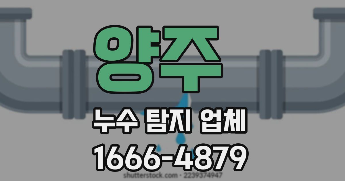 양주 누수 탐지 업체