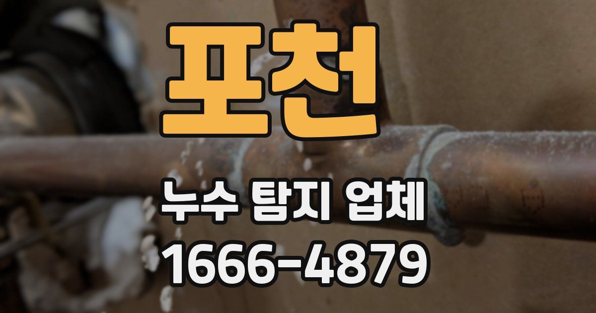 포천 누수 탐지 업체