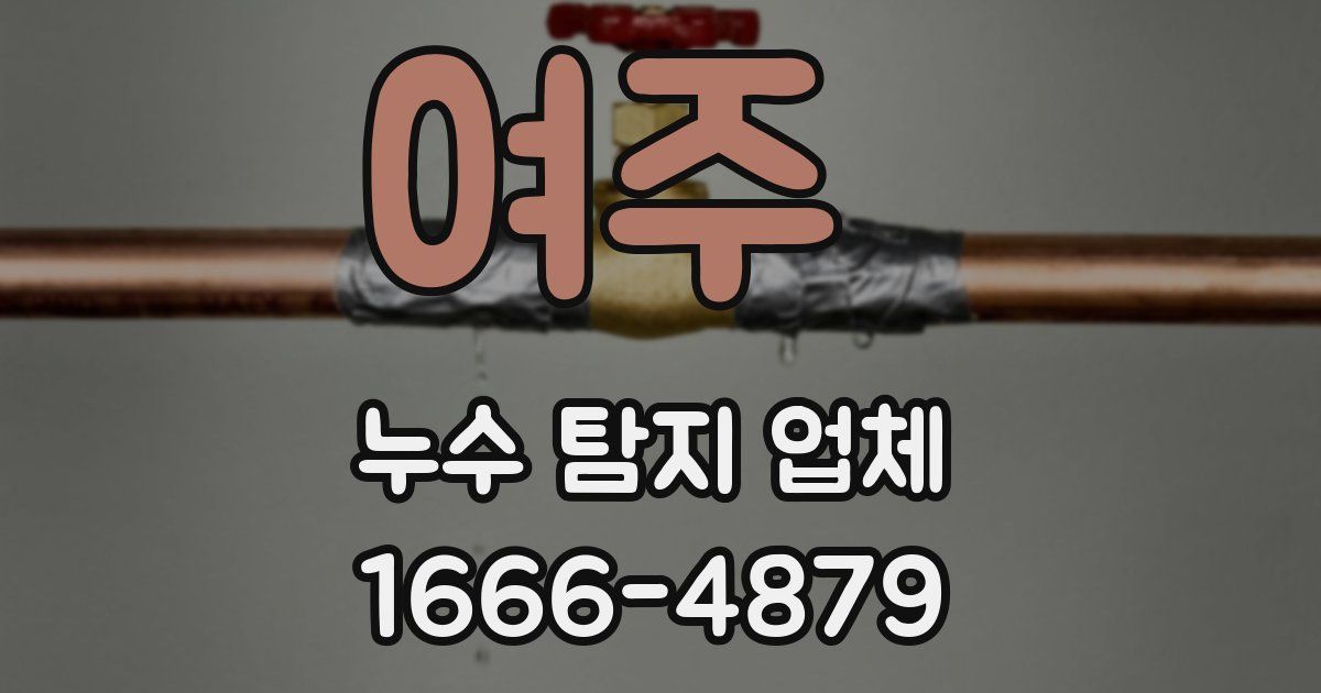 여주 누수 탐지 업체