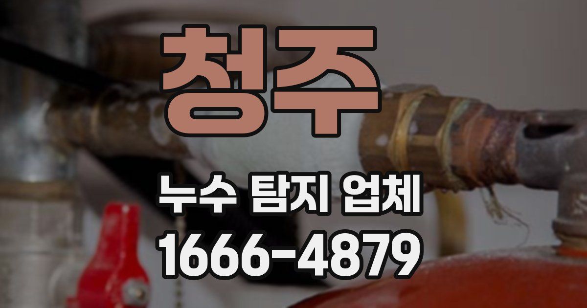 청주 누수 탐지 업체