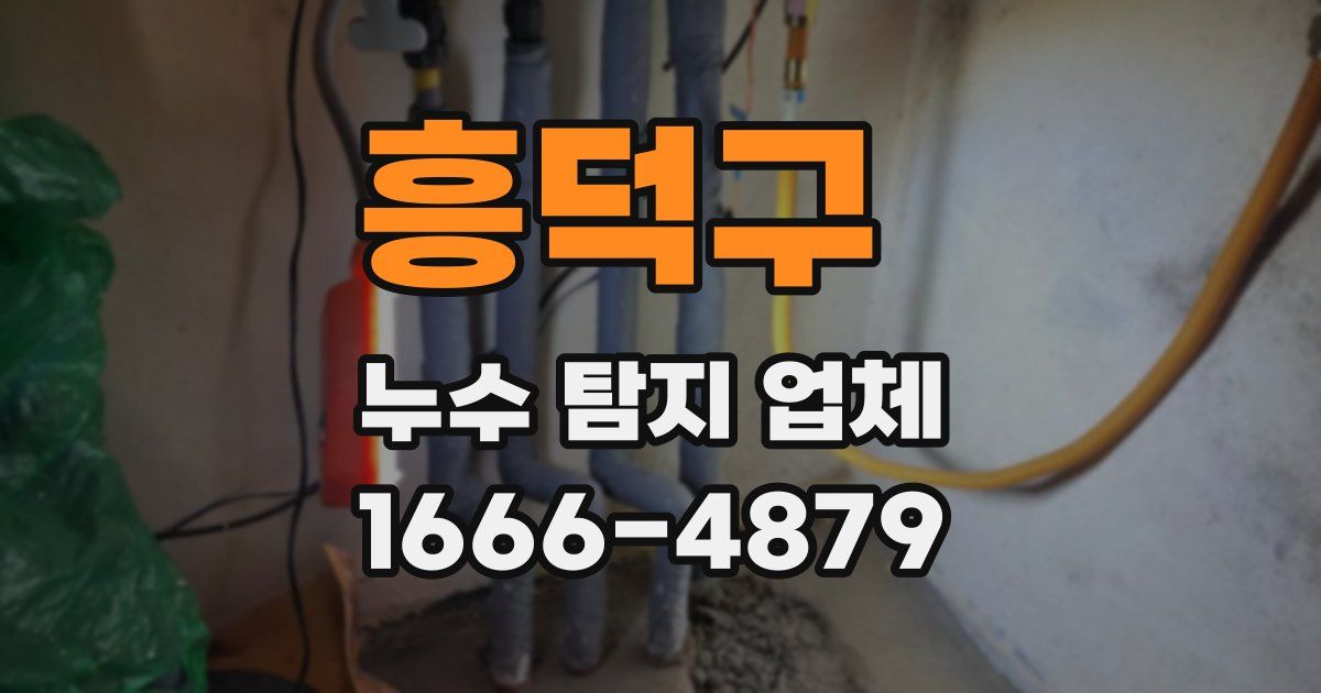 흥덕구 누수 탐지 업체