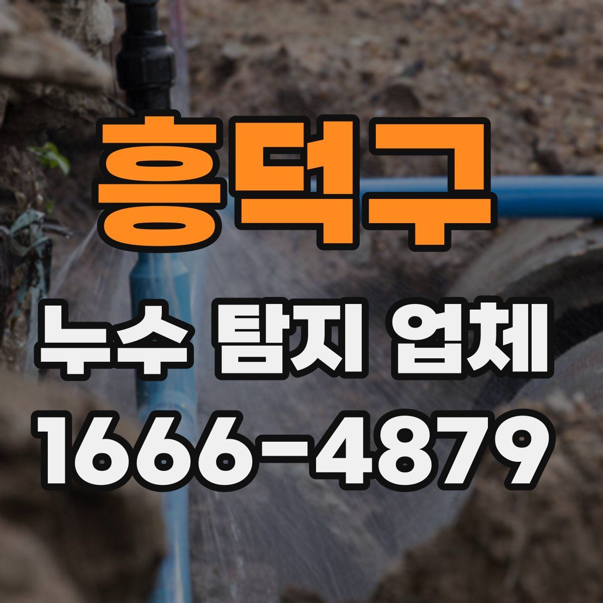 흥덕구 누수 탐지 업체