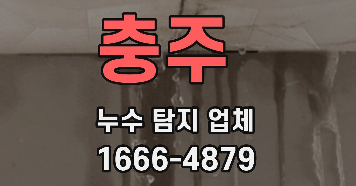 충주 누수 탐지 업체