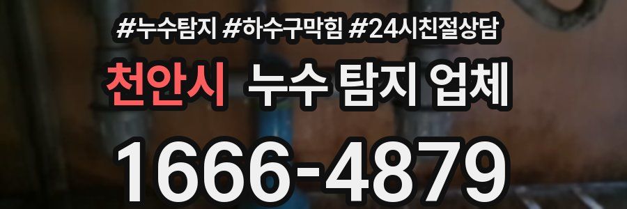 천안시 누수 탐지 업체