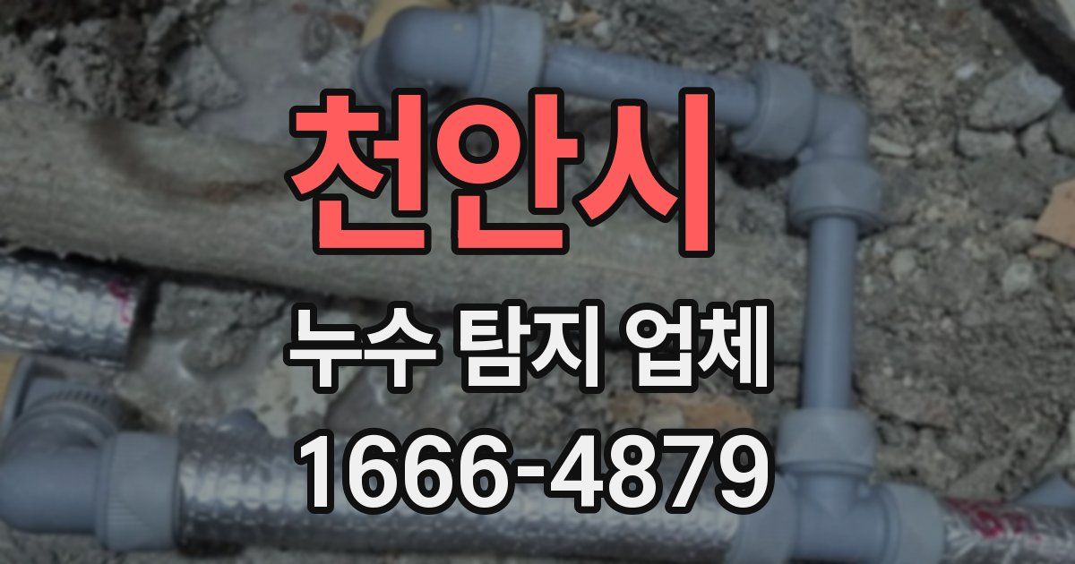 천안시 누수 탐지 업체