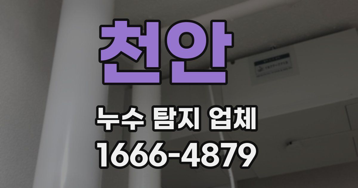 천안 누수 탐지 업체