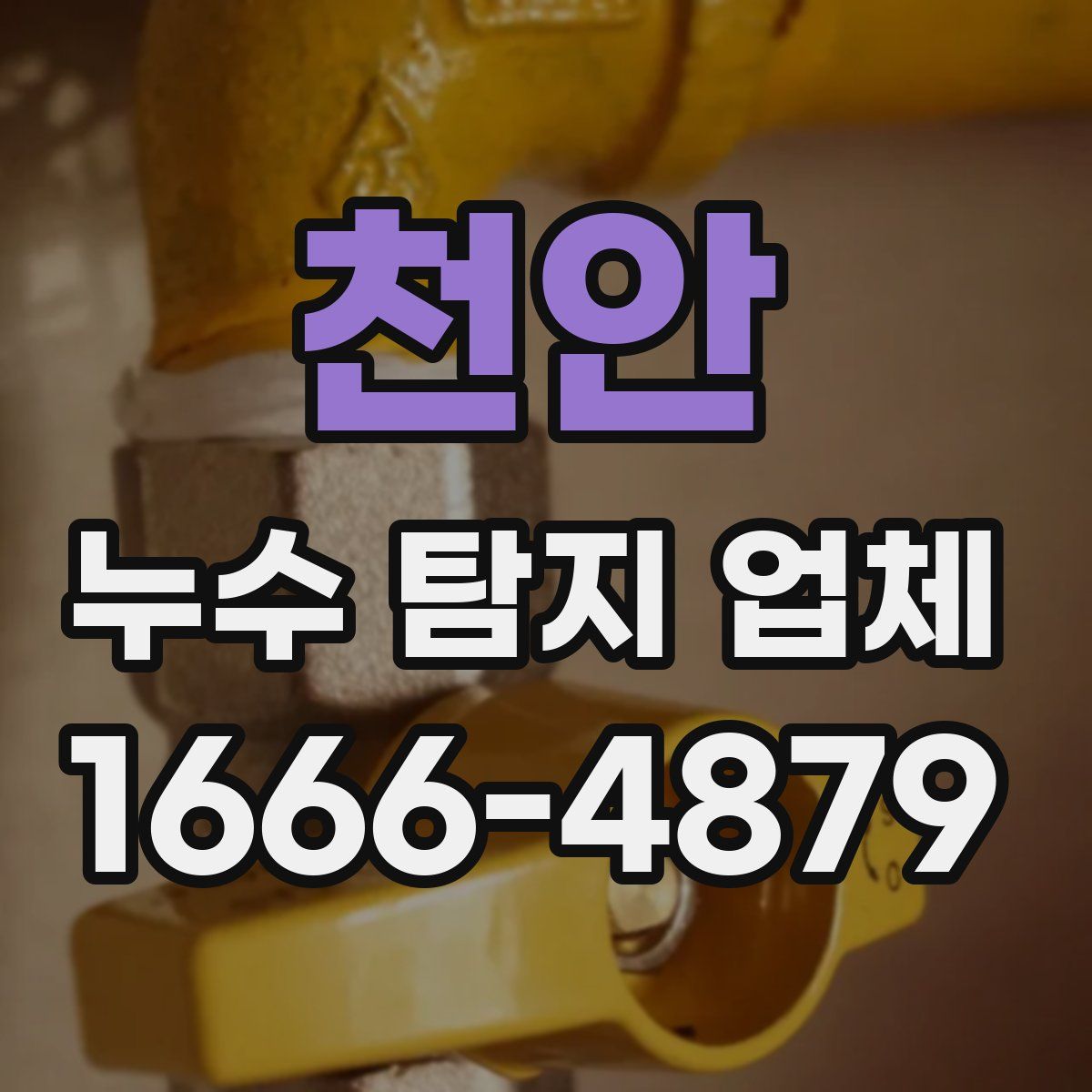 천안 누수 탐지 업체