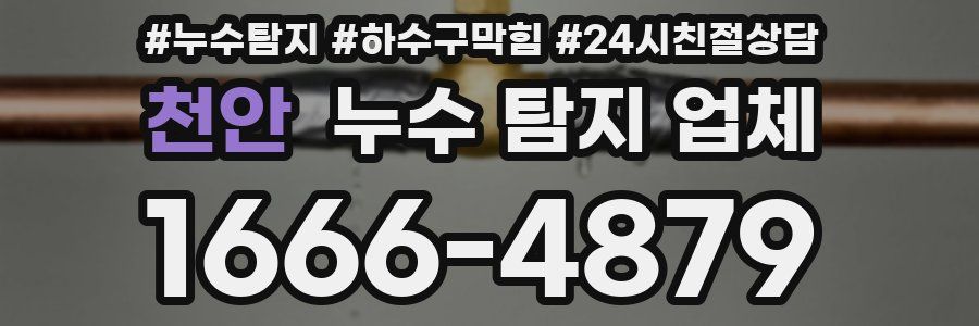 천안 누수 탐지 업체