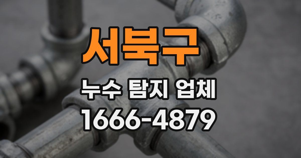 서북구 누수 탐지 업체