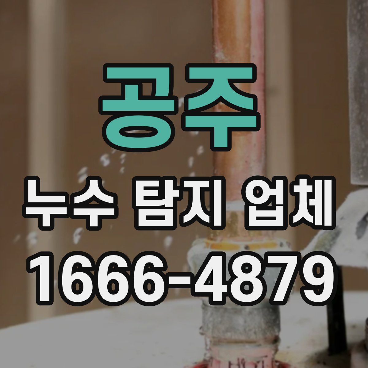 공주 누수 탐지 업체