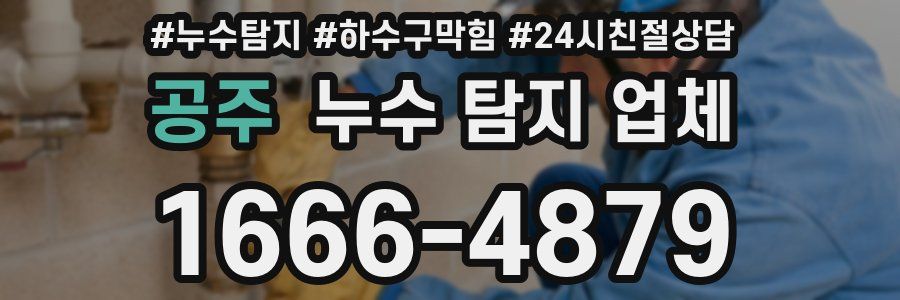 공주 누수 탐지 업체