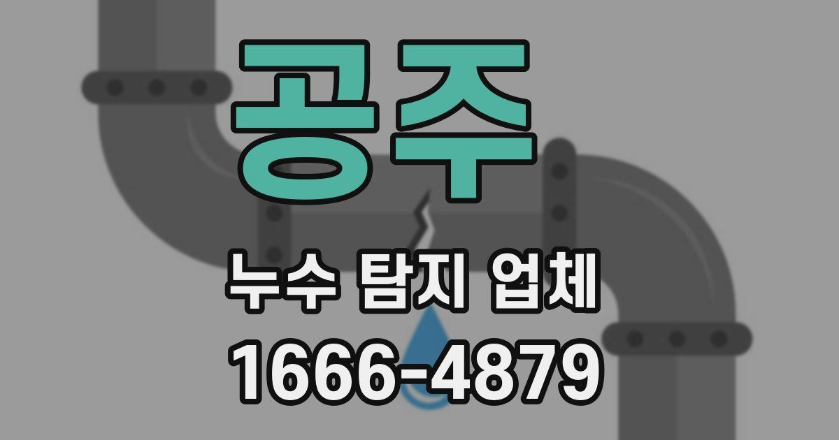 공주 누수 탐지 업체