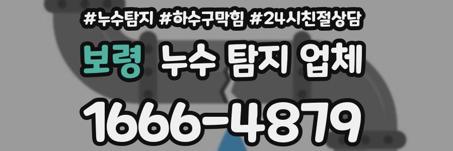 보령 누수 탐지 업체