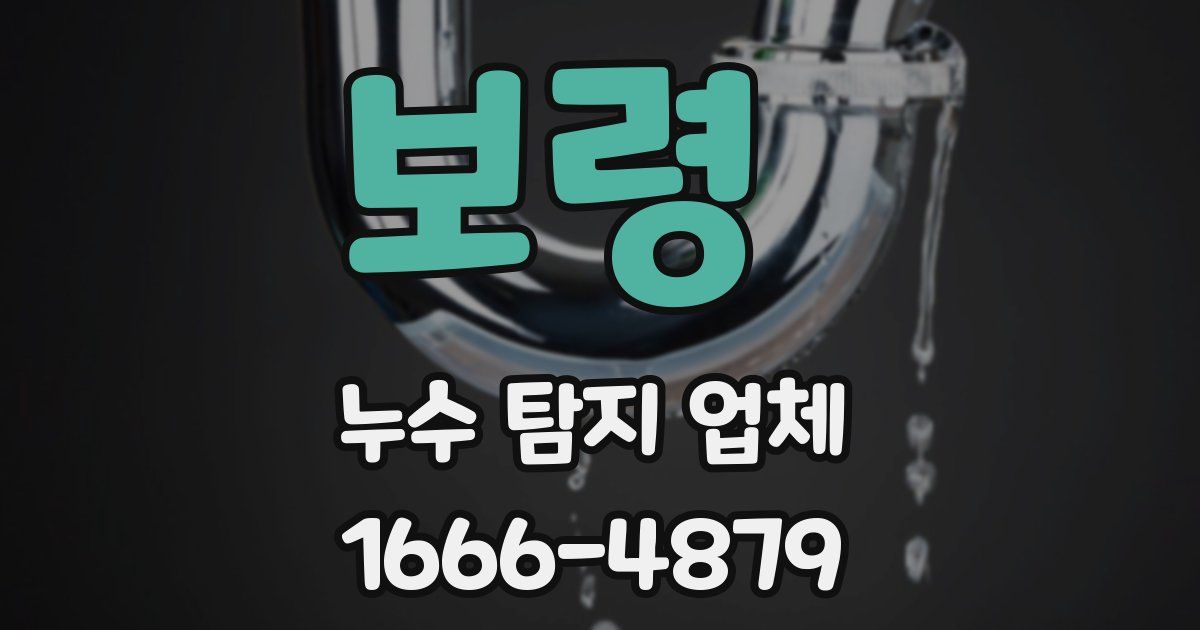 보령 누수 탐지 업체