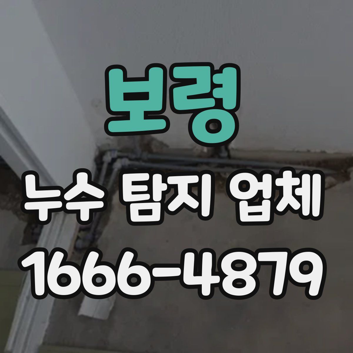 보령 누수 탐지 업체