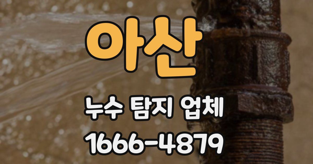 아산 누수 탐지 업체
