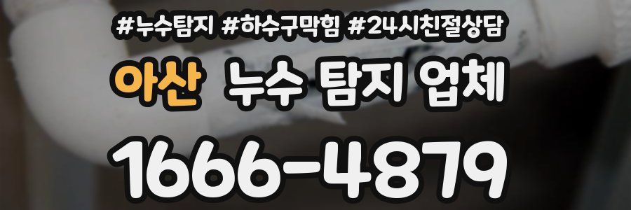 아산 누수 탐지 업체