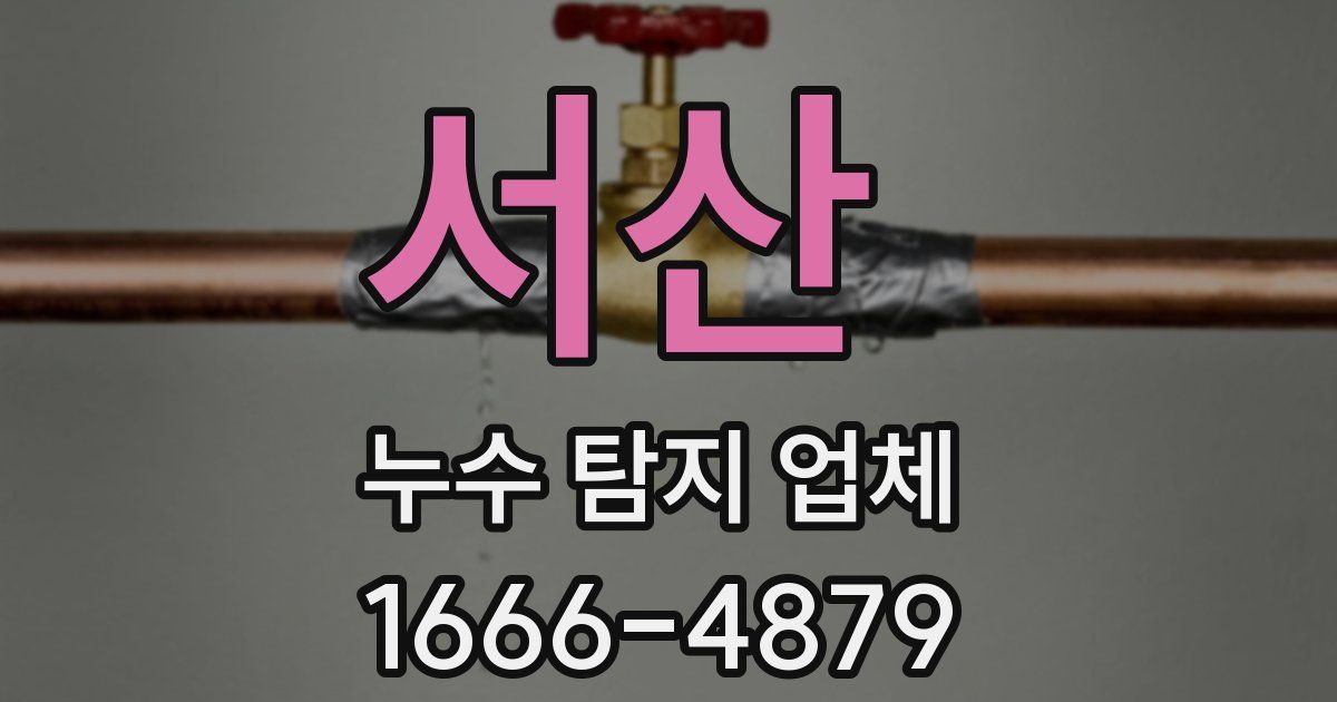 서산 누수 탐지 업체
