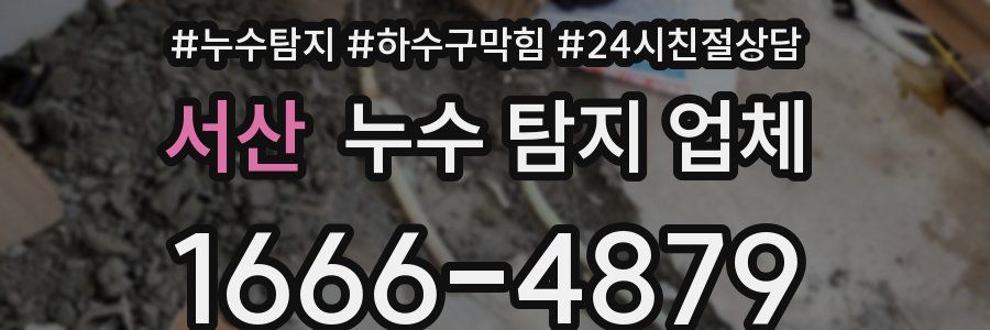 서산 누수 탐지 업체