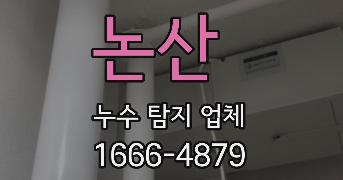 논산 누수 탐지 업체