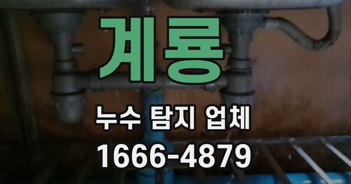 계룡 누수 탐지 업체