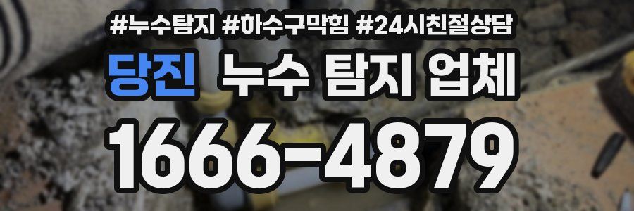 당진 누수 탐지 업체