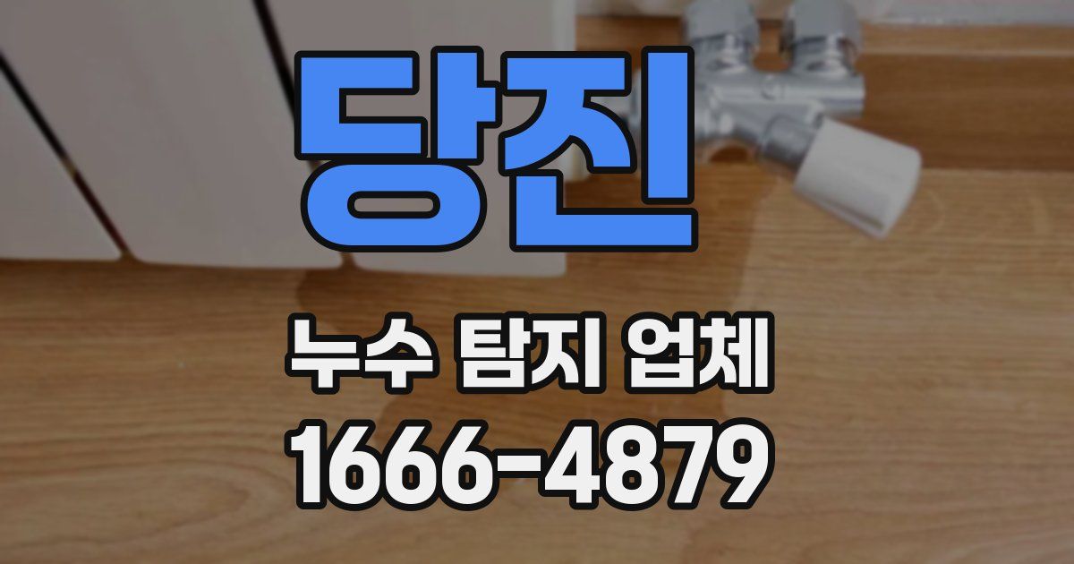 당진 누수 탐지 업체