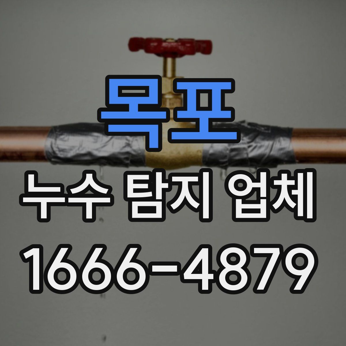 목포 누수 탐지 업체
