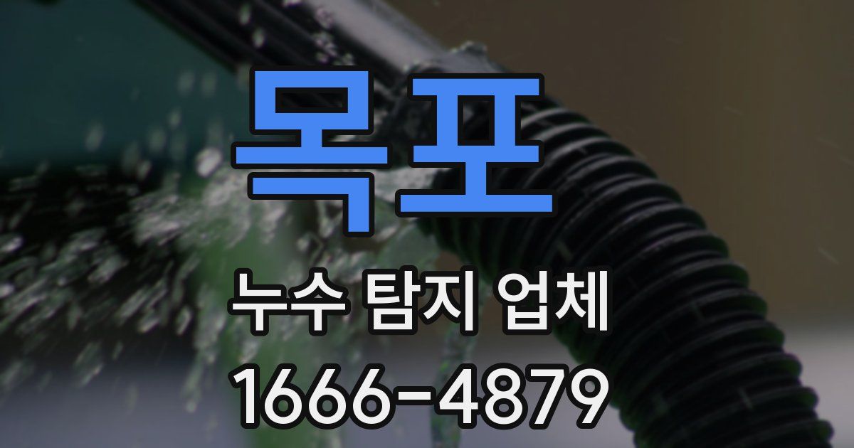 목포 누수 탐지 업체