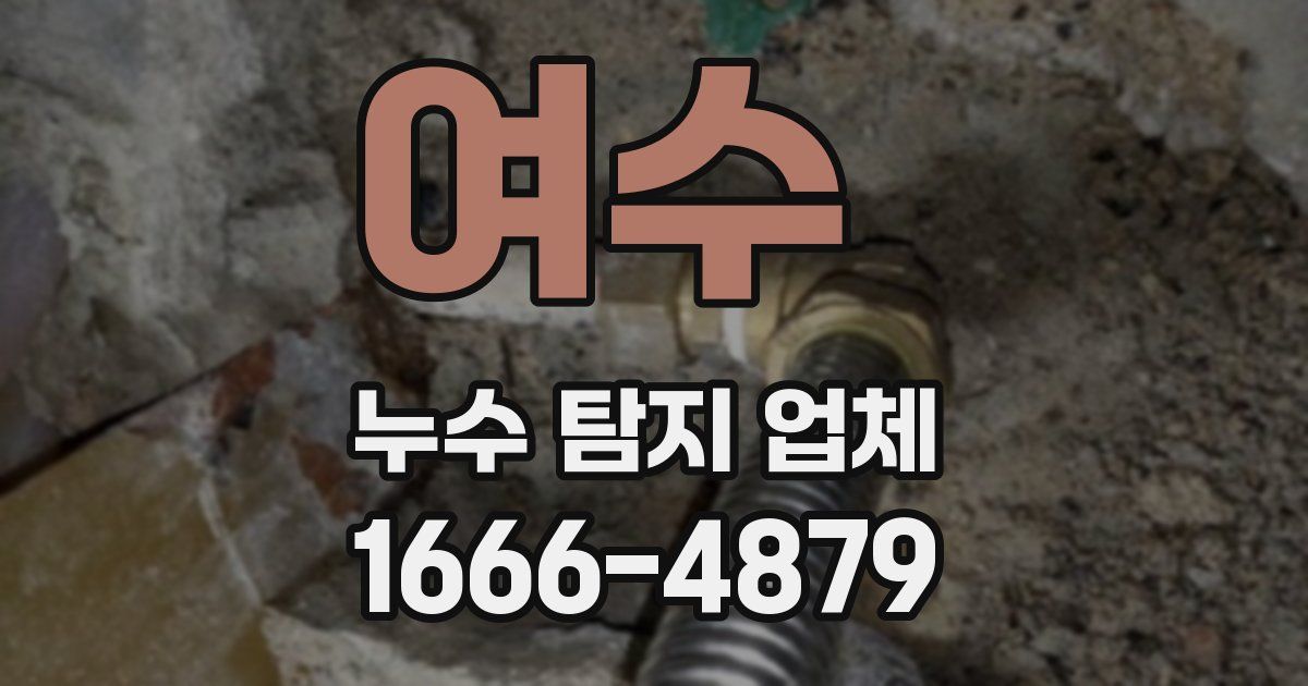 여수 누수 탐지 업체