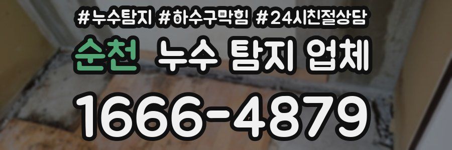 순천 누수 탐지 업체